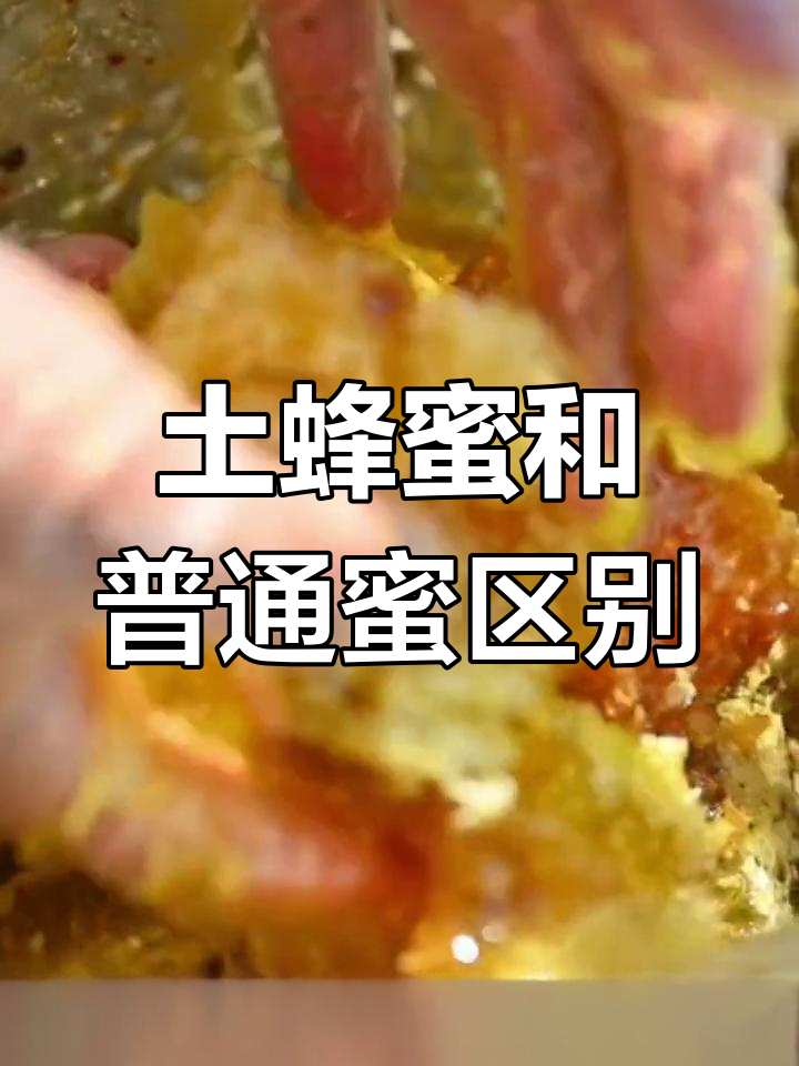 土蜂蜜与普通蜂蜜的区别:哪种更营养?