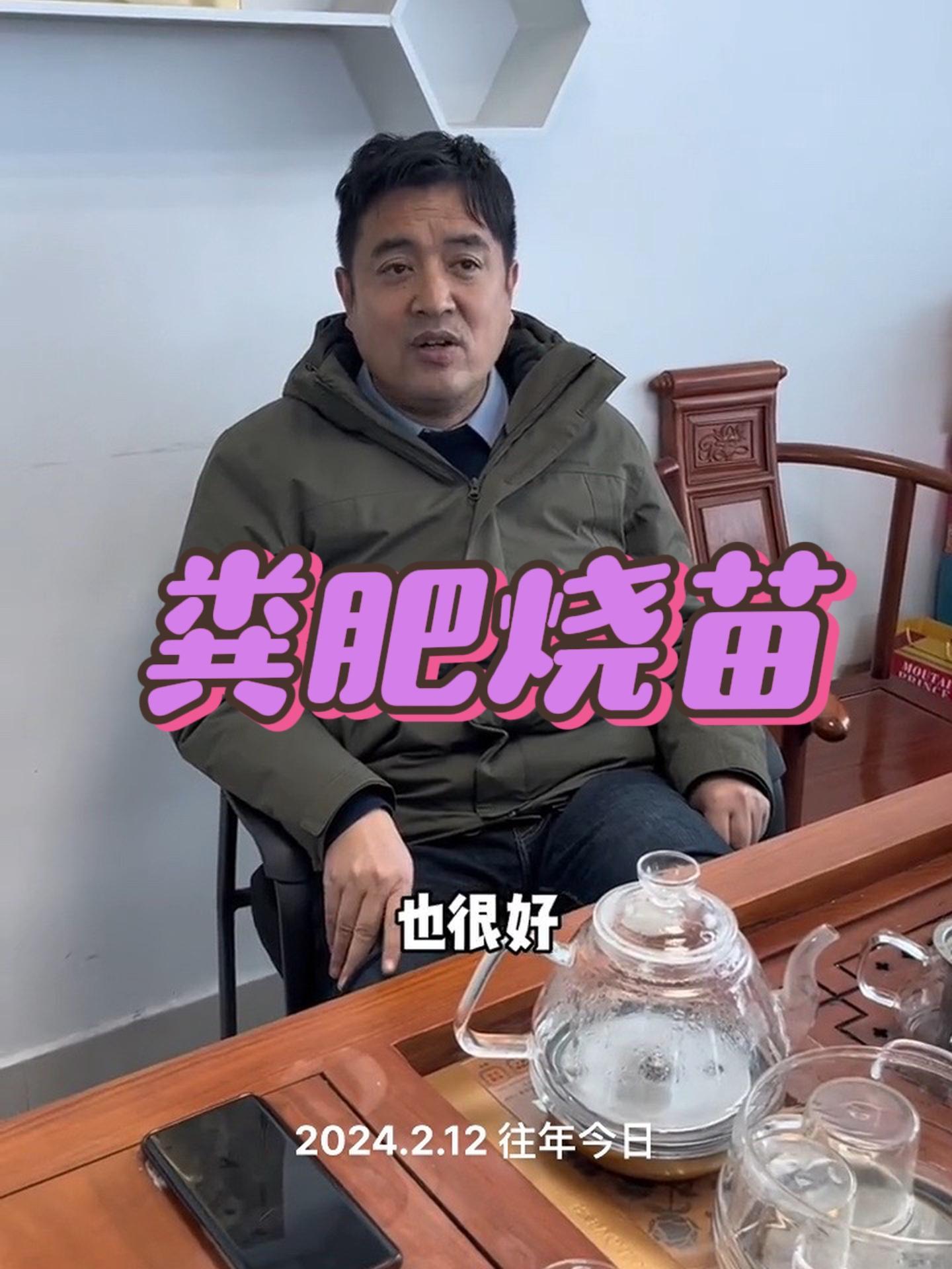 如何避免粪肥烧苗?鸡粪如何正确使用?蔬菜种植 病虫害防治 农业技术推广 黄瓜种植