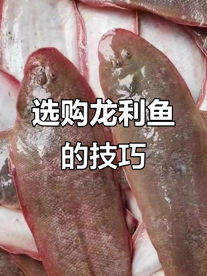 龙利鱼营养丰富,野生与养殖价格差异大,如何挑选?