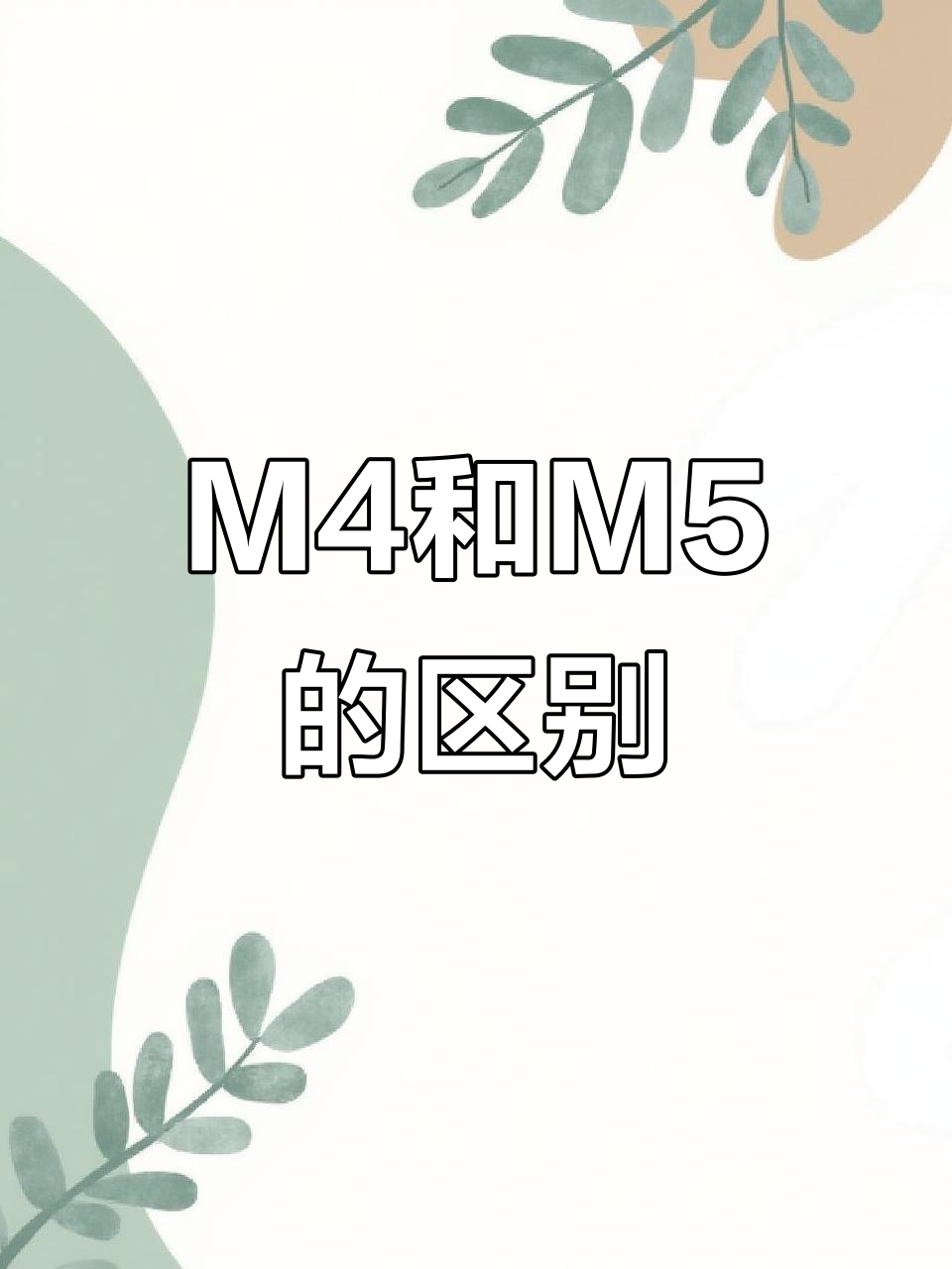 M4与M5的差异解析,你了解吗?