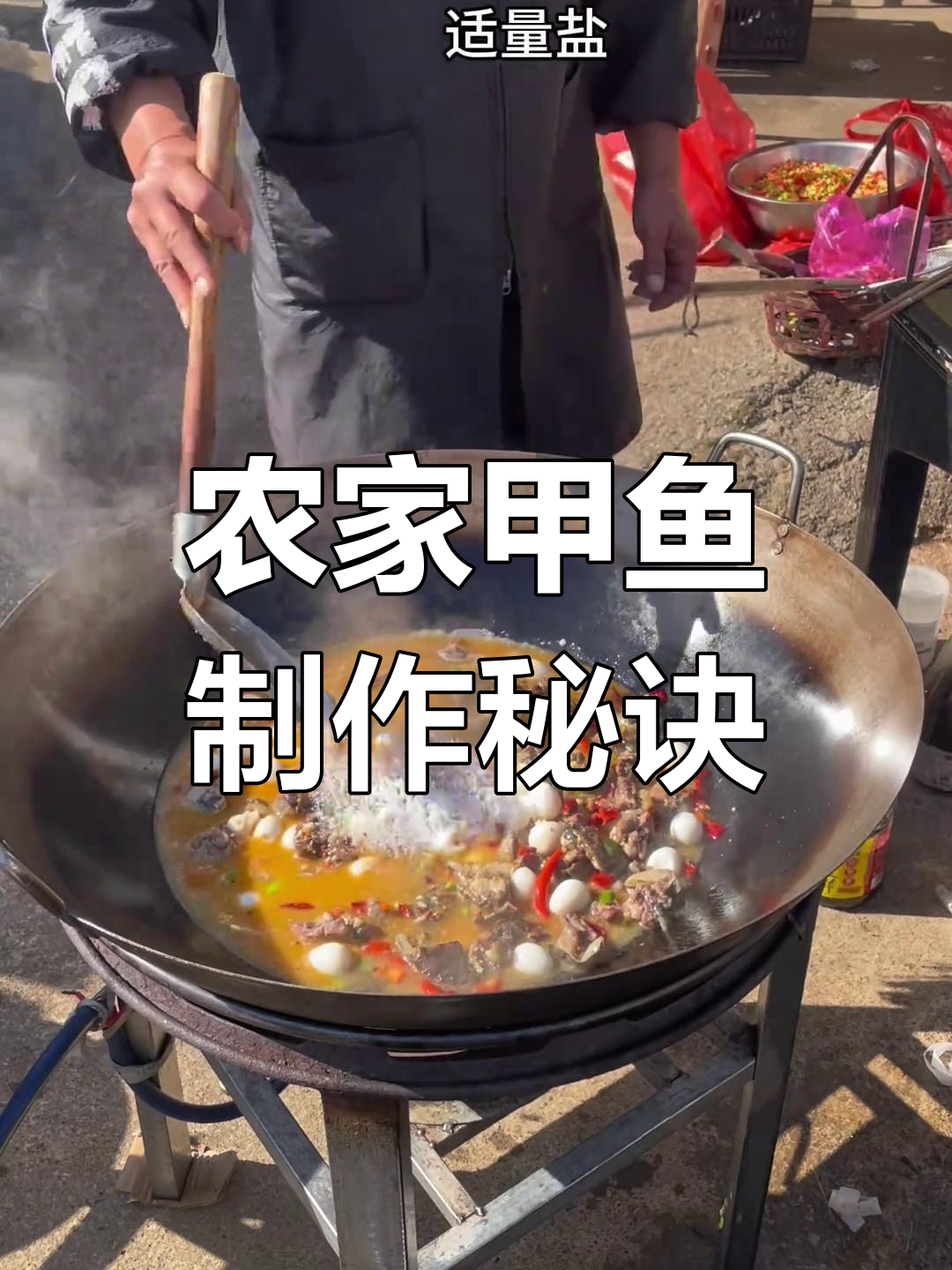 乡村甲鱼家常做法,教你如何做出正宗味道