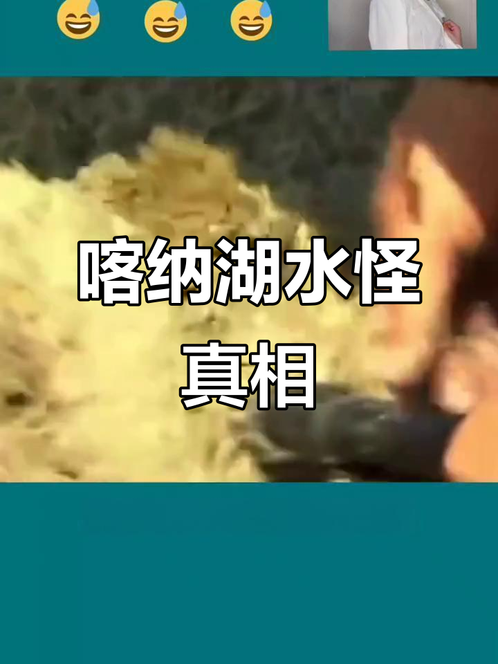 新疆喀纳斯湖现巨型水怪,竟是直罗鲑鱼!
