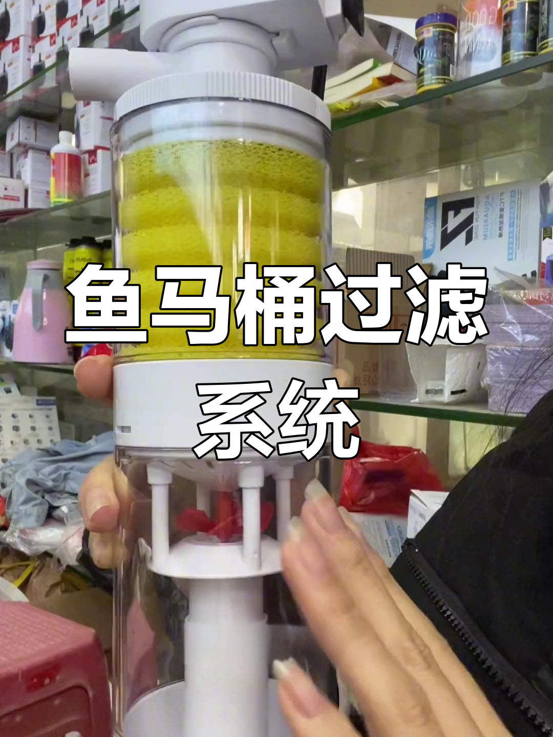 鱼马桶的工作原理与清洁方法