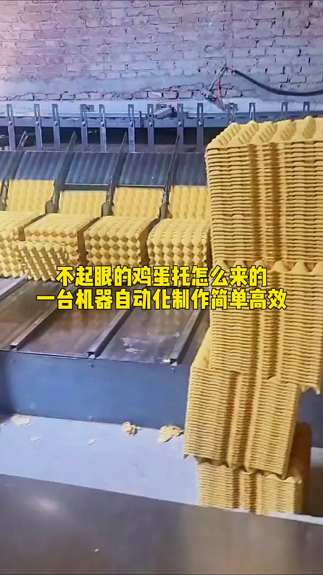 不起眼的蛋托怎么来的,用它就能实现 鸡蛋托 蛋托机 鸡蛋蛋托 蛋托成型机