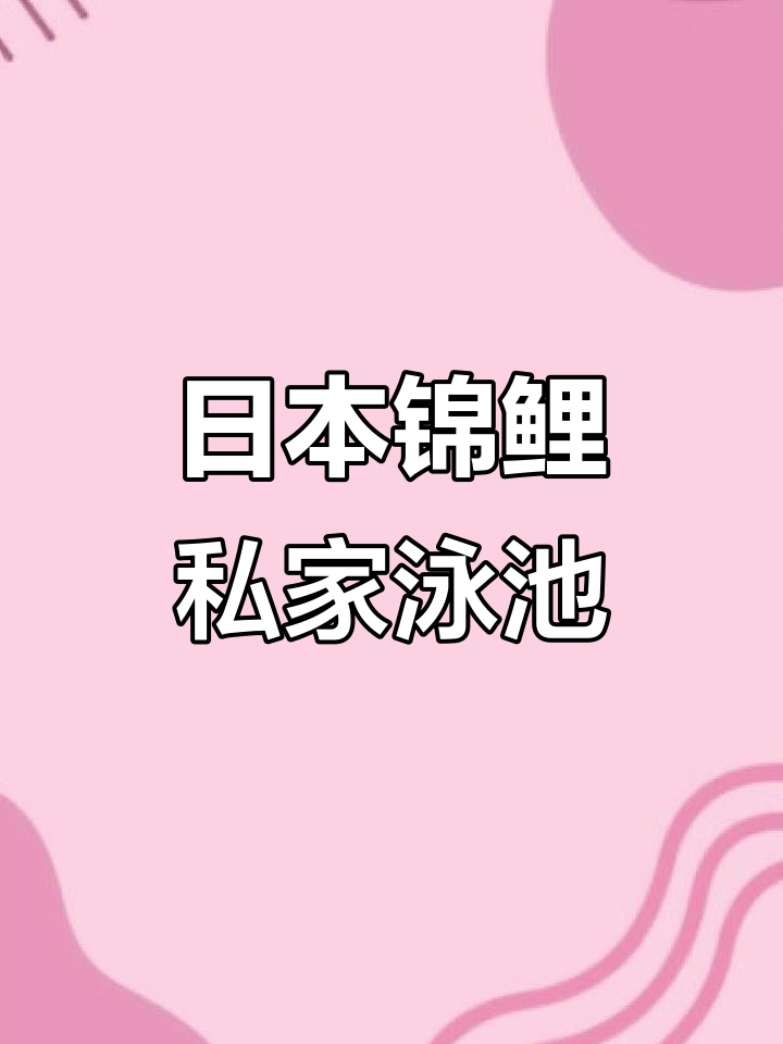 探访日本锦鲤天堂，私家别墅与鱼池美景尽享