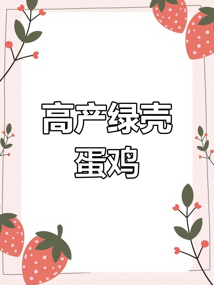 绿壳土鸡品种揭秘:高产麻羽,营养丰富