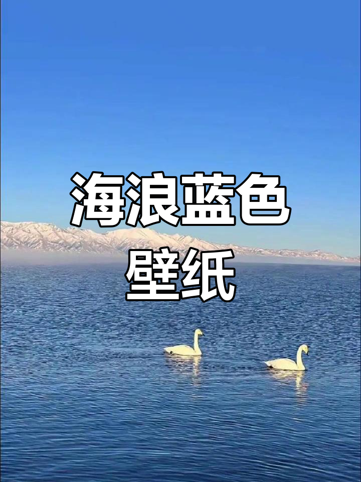 蓝色海洋壁纸,自由与宁静的完美结合