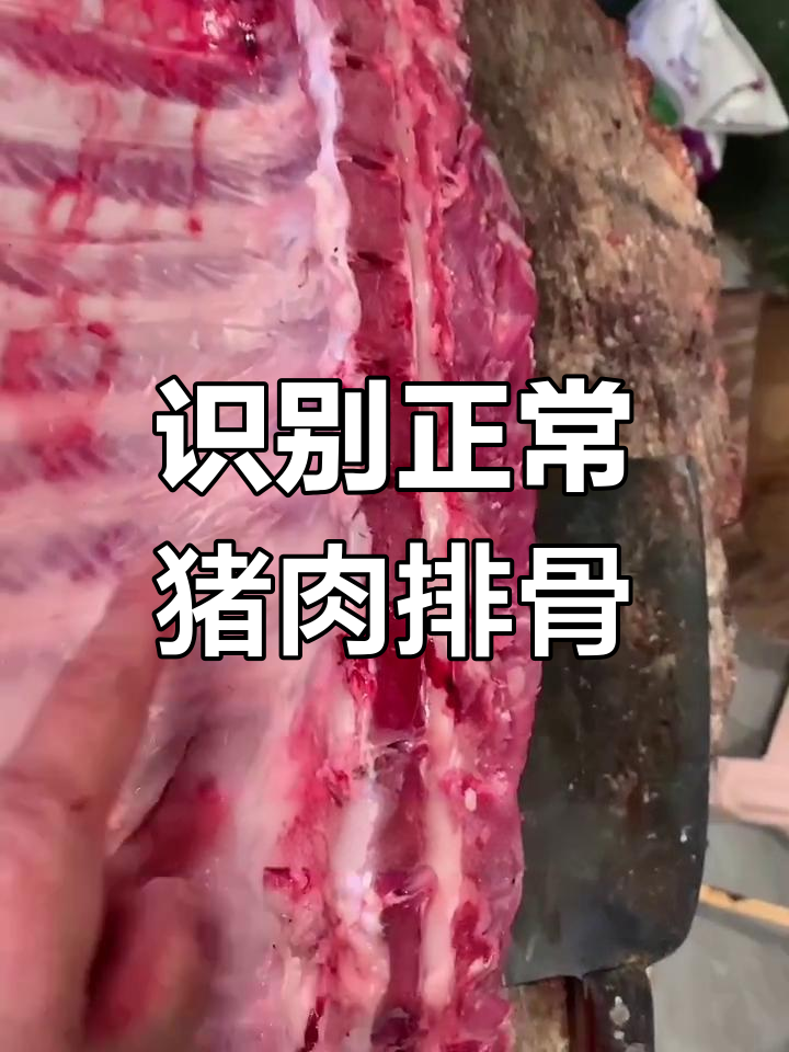 如何区分正常猪肉与老母猪排骨,肉质细节全解析