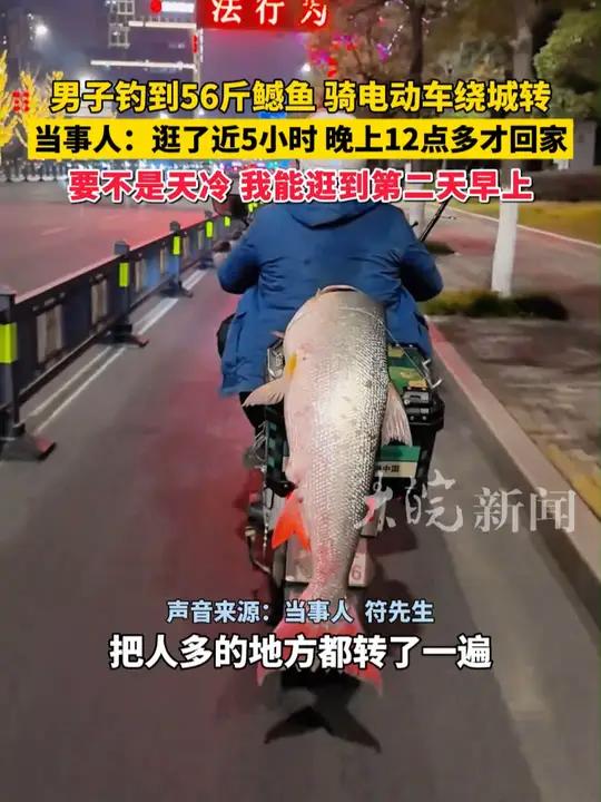男子钓到56斤鳡鱼 骑电动车绕城转 当事人:逛了近5小时 晚上12点多才回家 人多的地方都