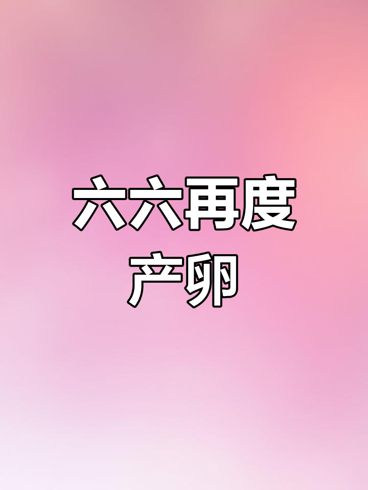 六角恐龙鱼产卵惊险历程,第一批宝宝夭折后再次尝试