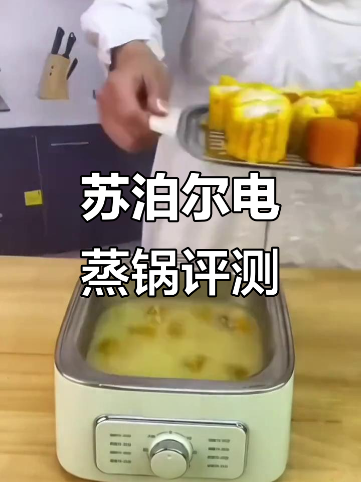苏泊尔电蒸锅,智能防烧干功能,九升大容量轻松搞定包子馒头