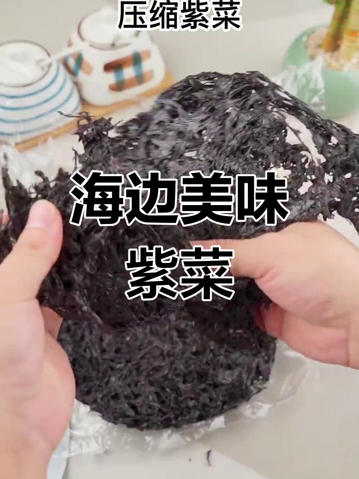 只有海边才有的紫菜,鲜美爽脆,家人都抢着吃!