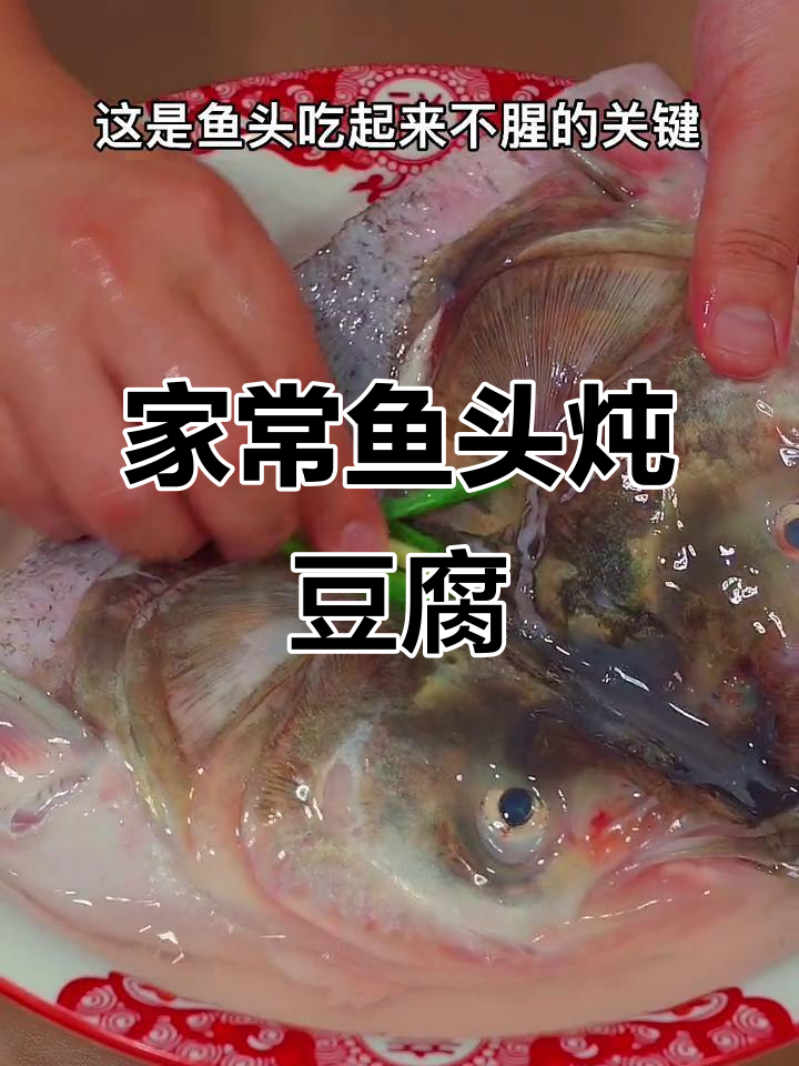 鱼头炖豆腐,家常美味轻松做
