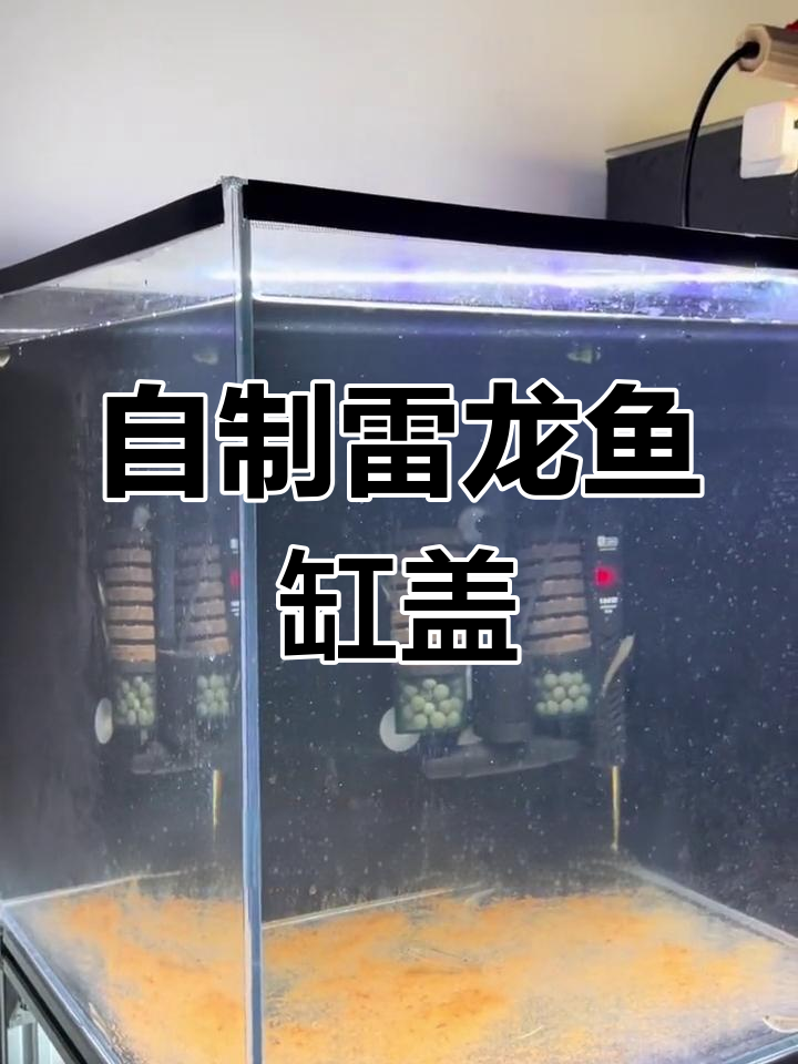 两种简单鱼缸盖制作方法,保障雷龙安全