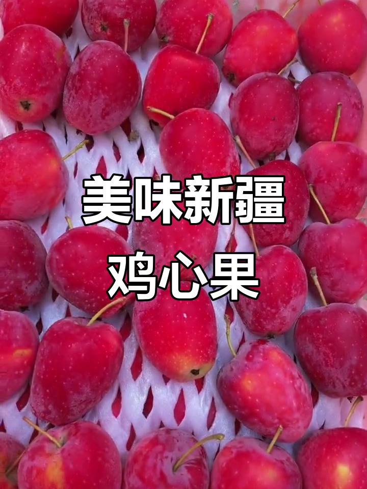 新疆鸡心果的独特魅力,让人无法抗拒