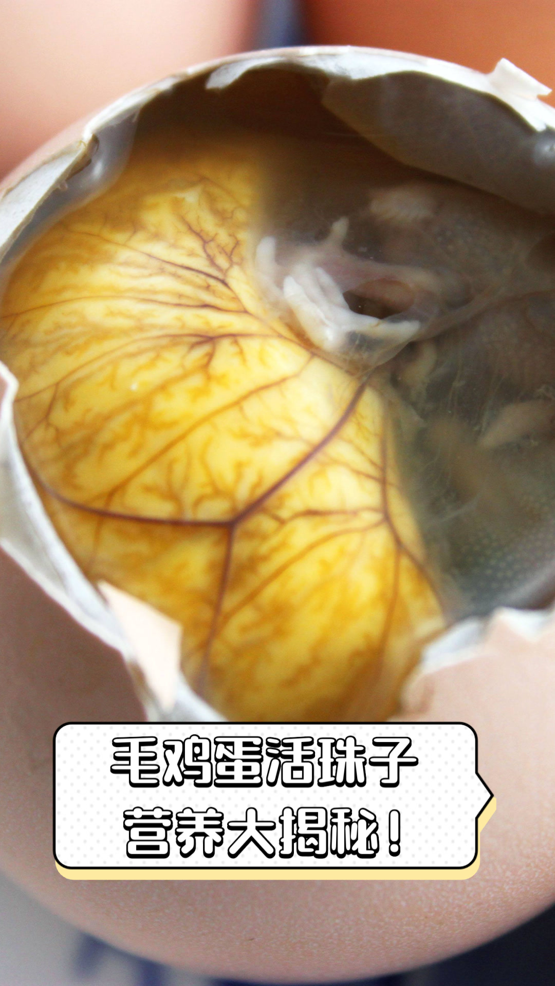 毛鸡蛋活珠子,营养大揭秘!