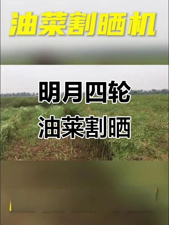 四轮油菜割台轻松配,明月收割机助力高效作业
