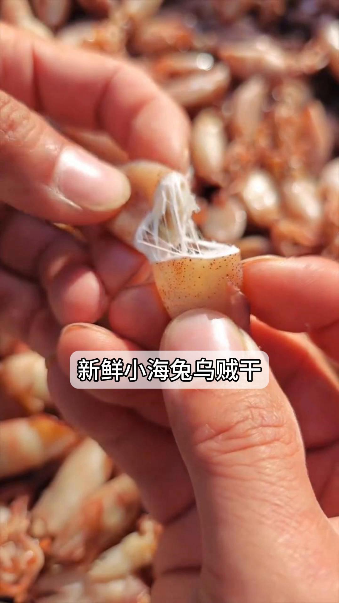 新鲜小海兔乌贼干