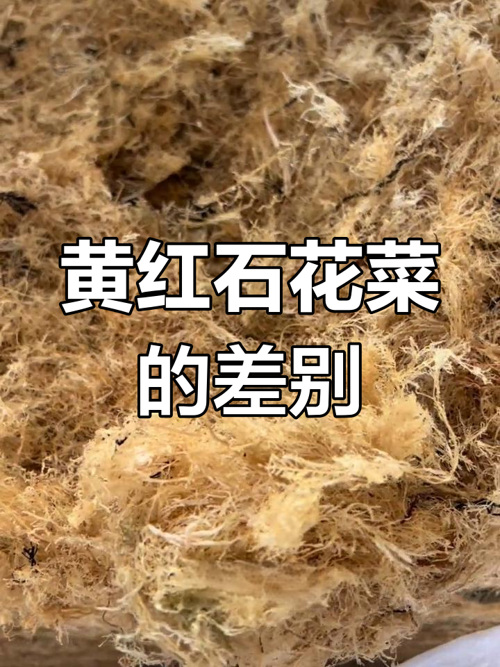 石花菜的颜色差异揭秘