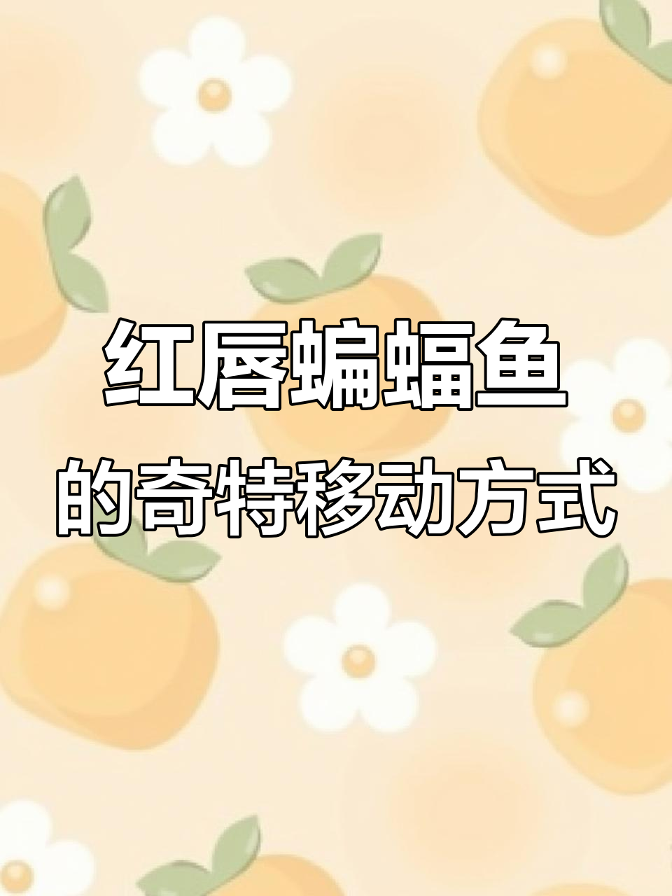 深水红唇蝙蝠鱼,不会游泳却能跳跃,丑得让人笑出声
