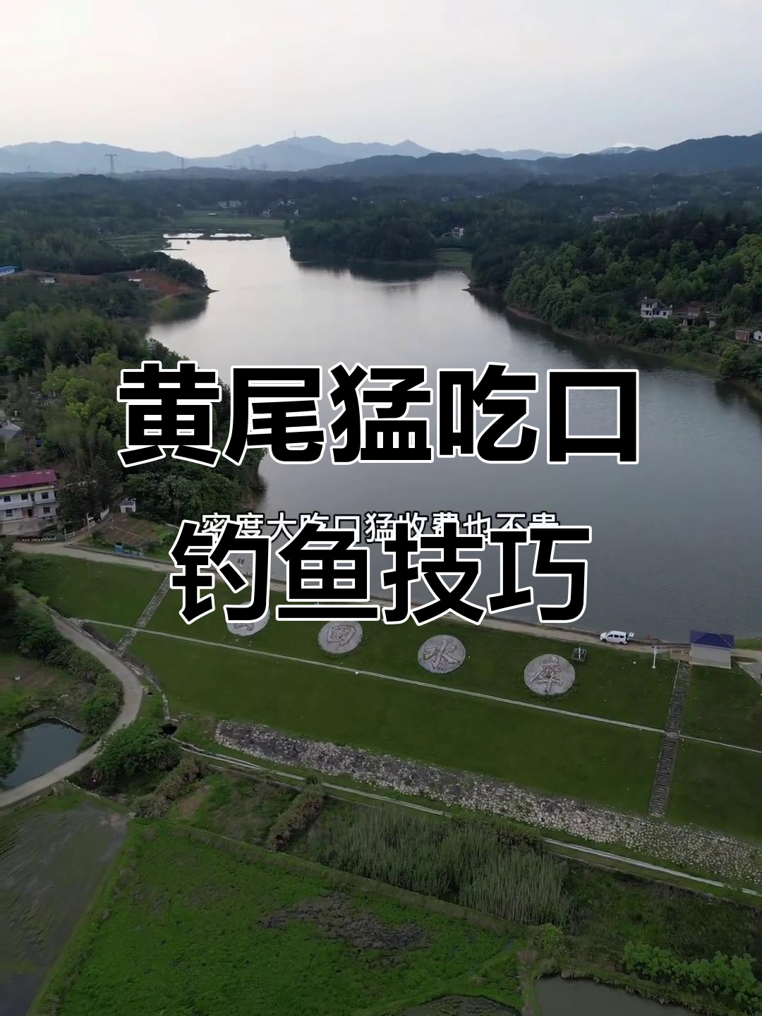 云田水库黄尾密度大,滑铅双铅钓法轻松上手