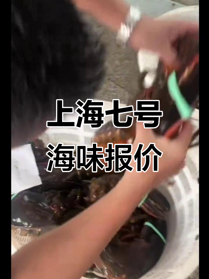 上海江阳市场7号海鲜批发价格大揭秘,帝王蟹、龙虾等一应俱全
