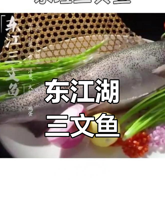 湖南东江湖三文鱼:鲜嫩美味,生食最佳