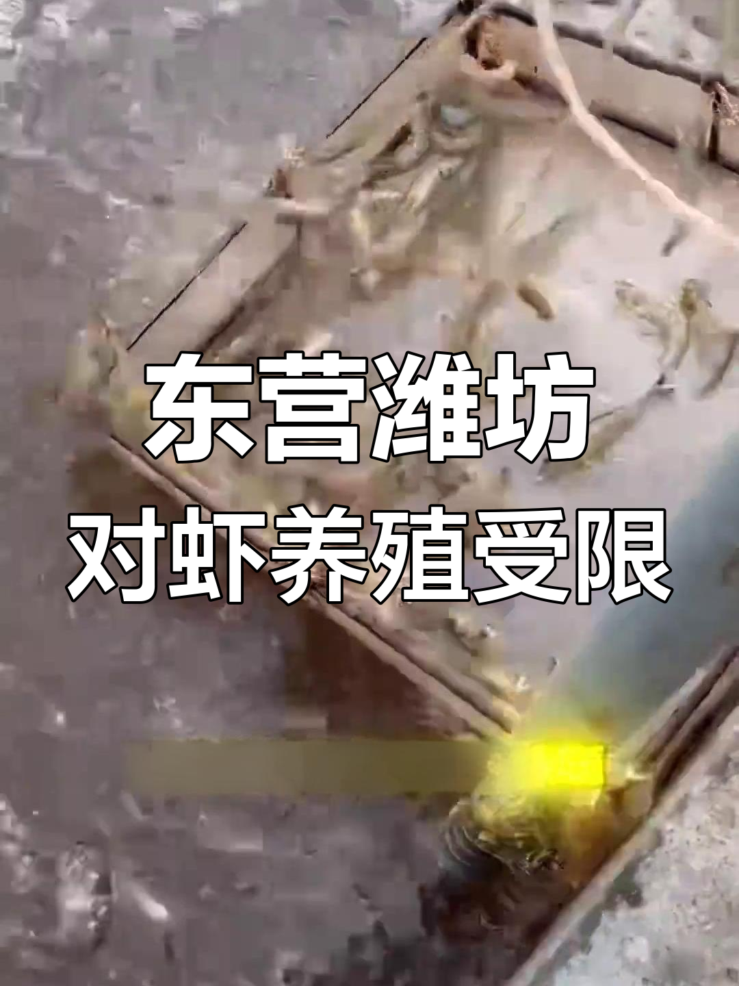 山东东营潍坊环保严查,小棚工厂化养殖被叫停