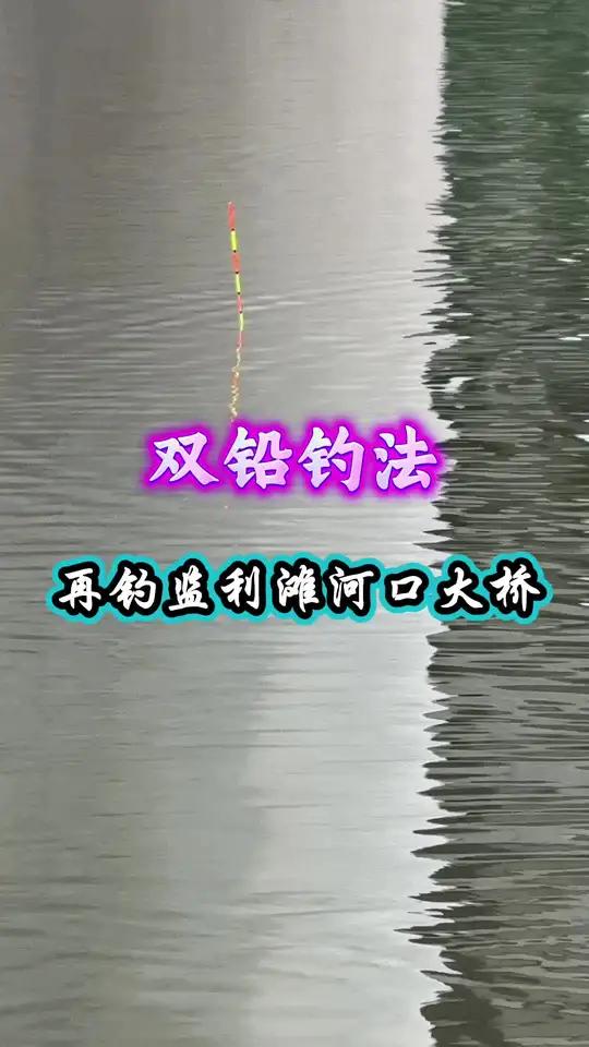 再钓滩河口大桥,7克浮漂如何钓鲫鱼?