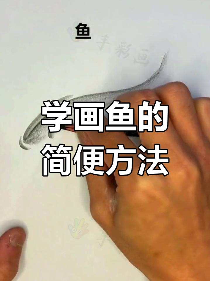 轻松学会画鱼,简单素描技巧