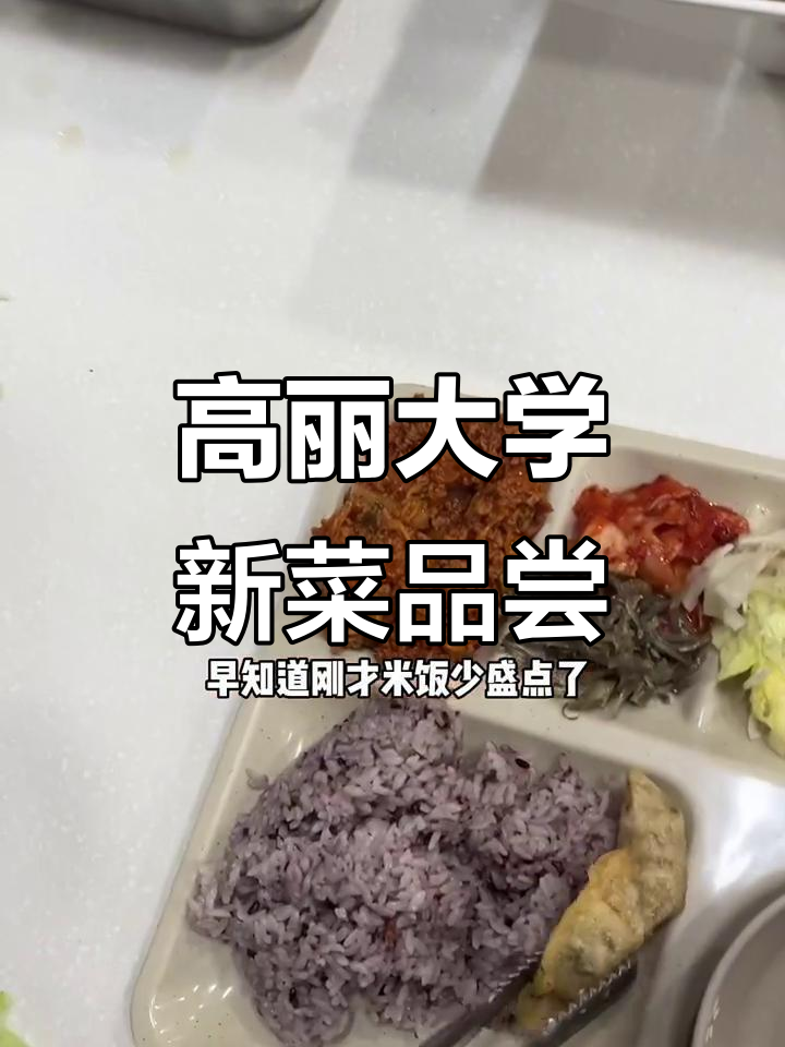 韩国高丽大学食堂全新菜谱大揭秘,辣炒肉酱、干饭和沙拉全都有