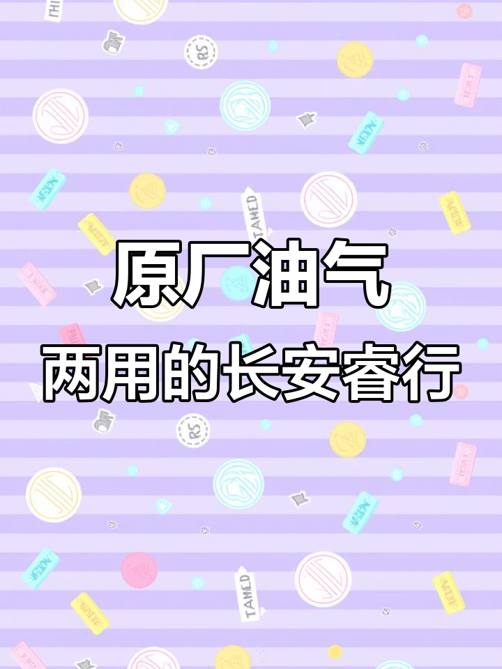 长安睿行M60原厂油气两用,2024款六座面包车实拍