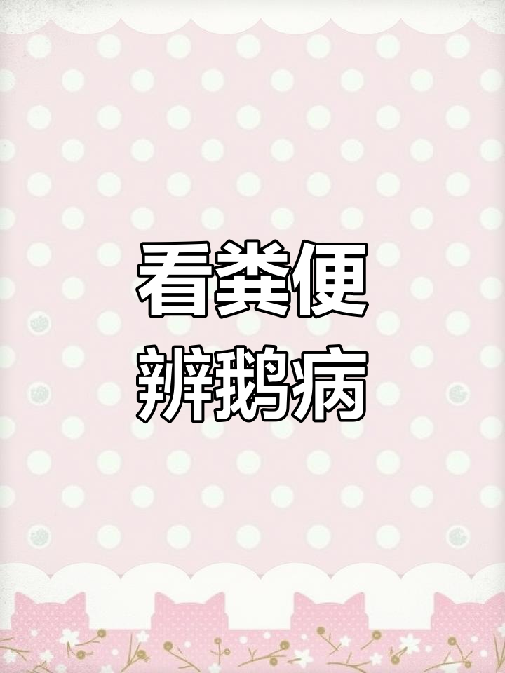 鹅病粪便识别:从颜色到症状全解析