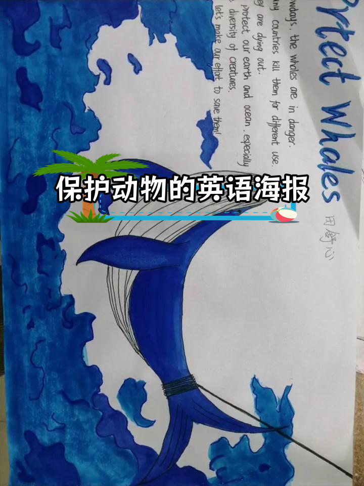 高一学生制作的保护动物英文海报
