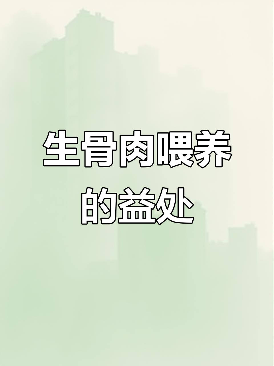 喂猫咪生骨肉,省钱又健康!