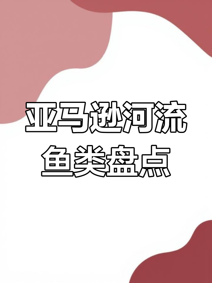 亚马逊河钓鱼大揭秘:这些鱼你敢挑战吗?