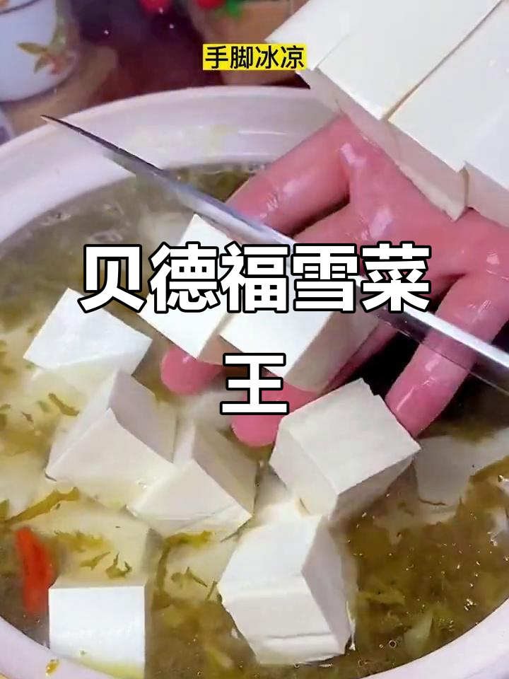 宁波传统雪菜,炒肉丝、炖汤样样行!