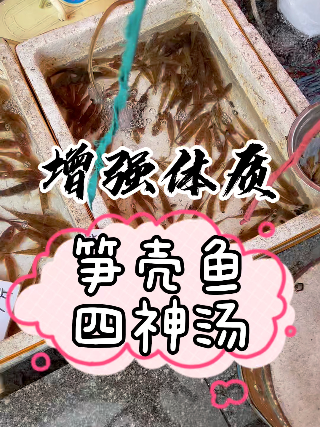 笋壳鱼四神汤