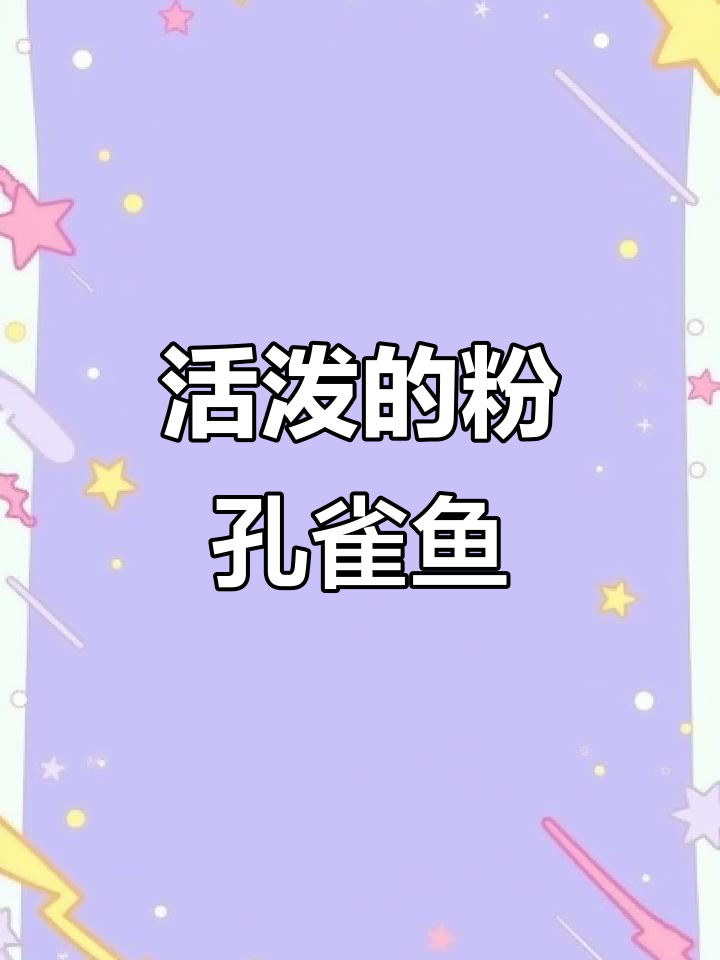 粉色孔雀鱼,美丽又活泼!