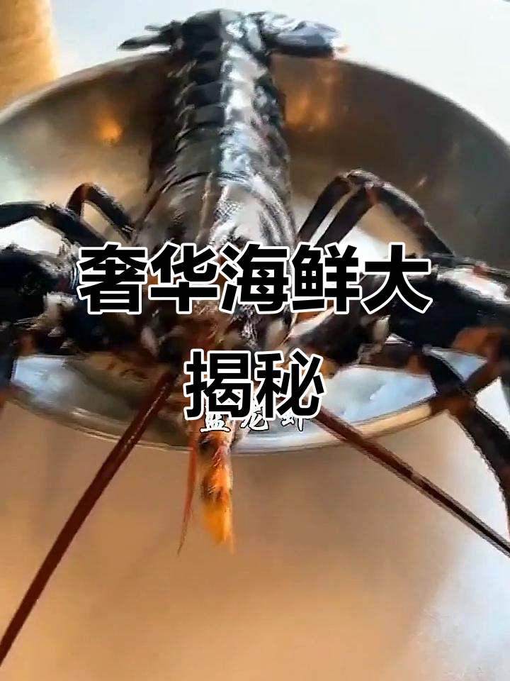 世界上最昂贵的海鲜,土豪才敢吃!海鸡角、蓝龙虾都在其中