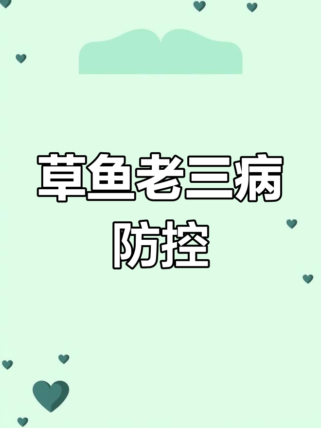 草鱼常见病害解析与防治方案