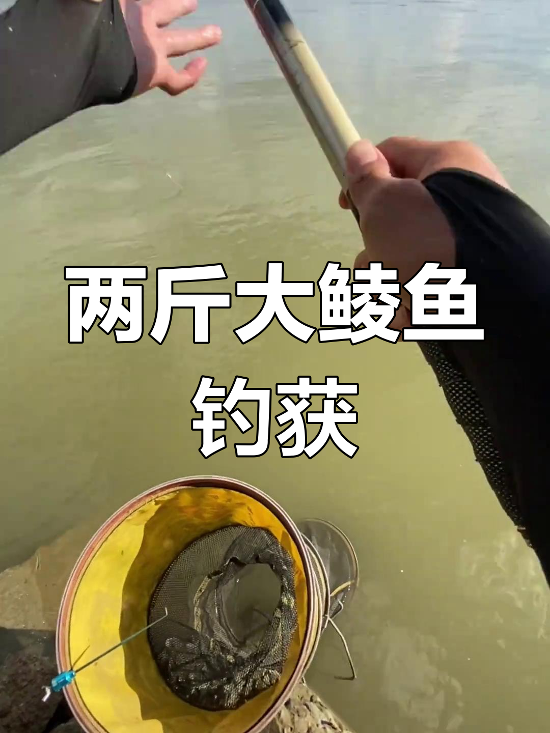 周末钓鱼挑战,两斤多鲮鱼轻松搞定!