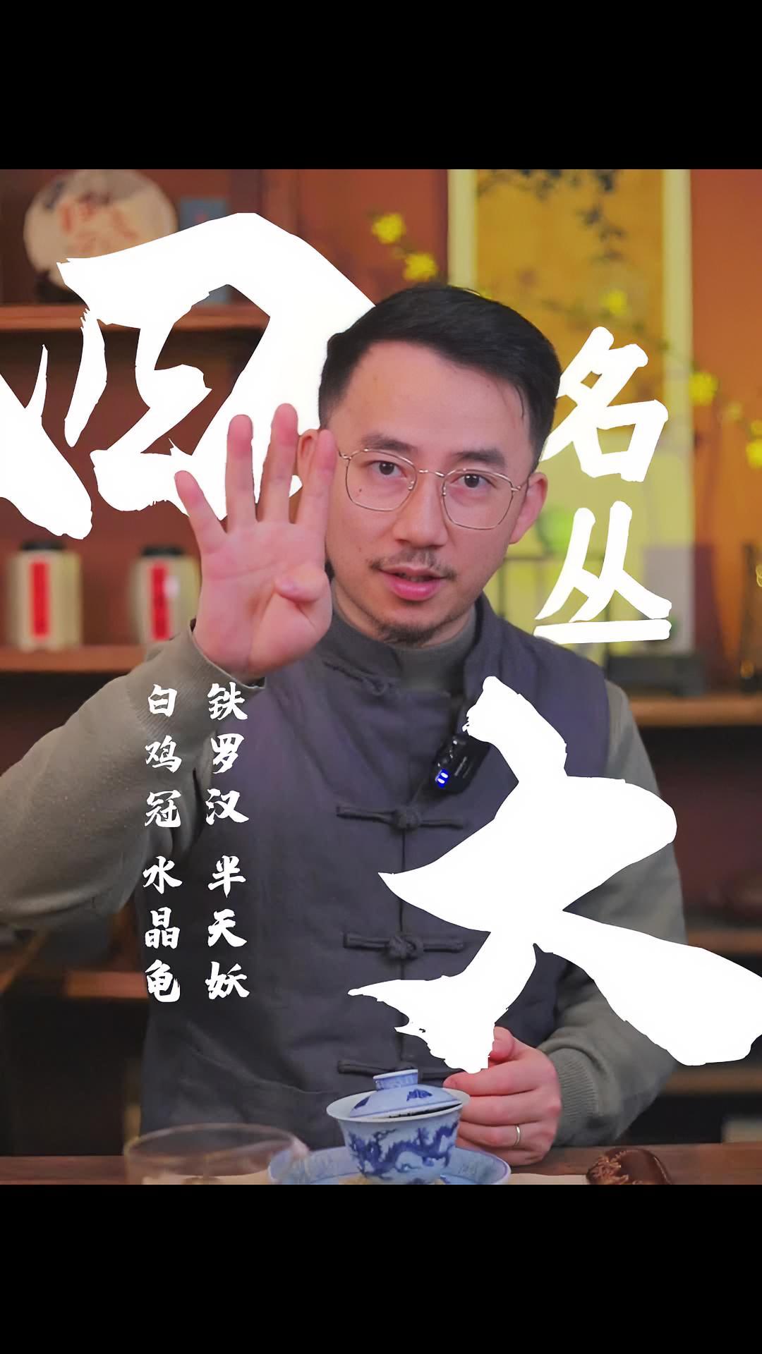 武夷岩茶的四大名丛你都喝过吗?武夷岩茶 半天妖 水金龟 白鸡冠 铁罗汉 召唤茶友 茶生活 