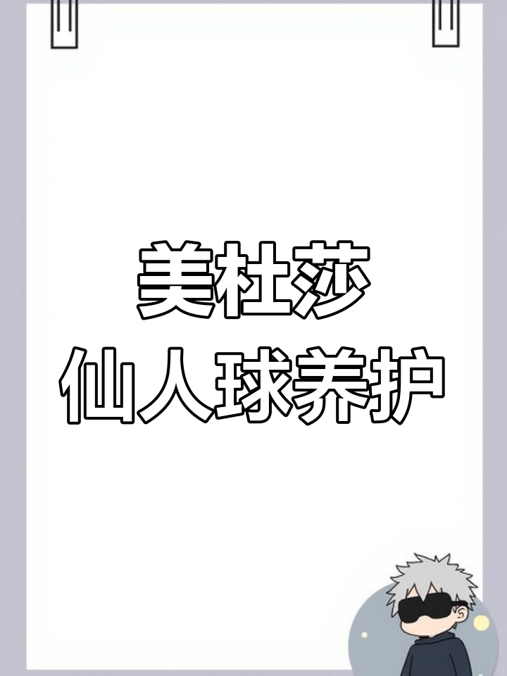 美杜莎仙人球的独特魅力与养护技巧