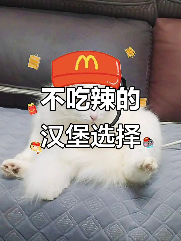 德大叔不吃辣,麦当劳汉堡怎么选?