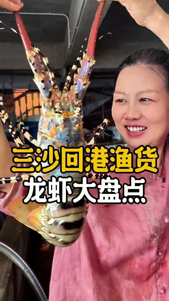 不许你不知道,祖国南沙的龙虾宝贝哪种最贵