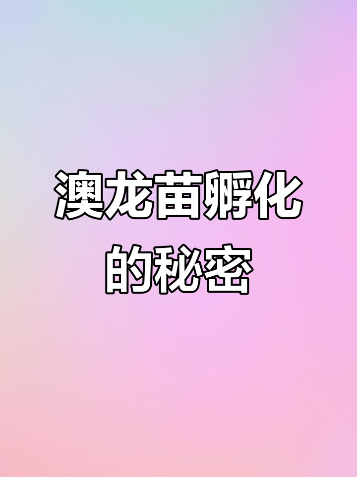 澳龙虾苗孵化全过程揭秘,母虾如何保护小宝宝?