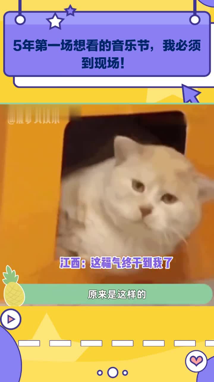 5年第一场想看的音乐节,我必须到现场!