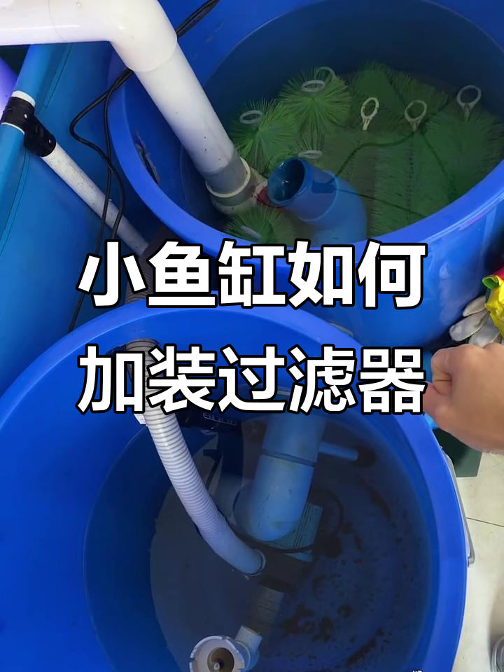 鱼缸太小怎么办?帆布鱼池过滤系统DIY教程