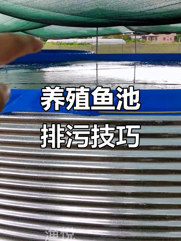 鱼池排水系统揭秘:如何高效排污?